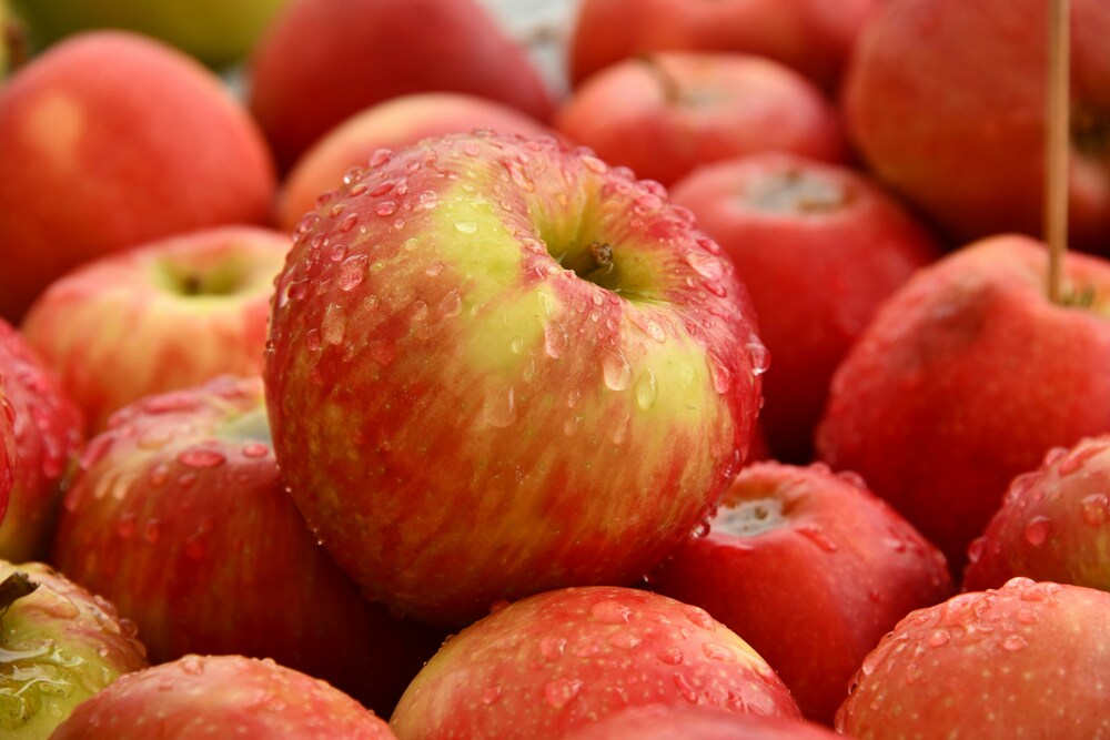 Helado casero de manzana: receta fácil sin heladera